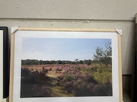 Prentkunst heide - afbeelding 1 van  1