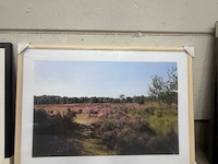 Prentkunst heide