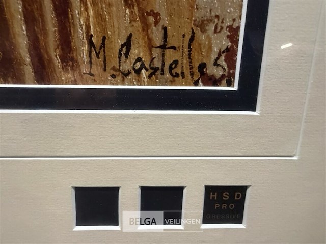 Prentkunst hsd pro solar - afbeelding 2 van  3