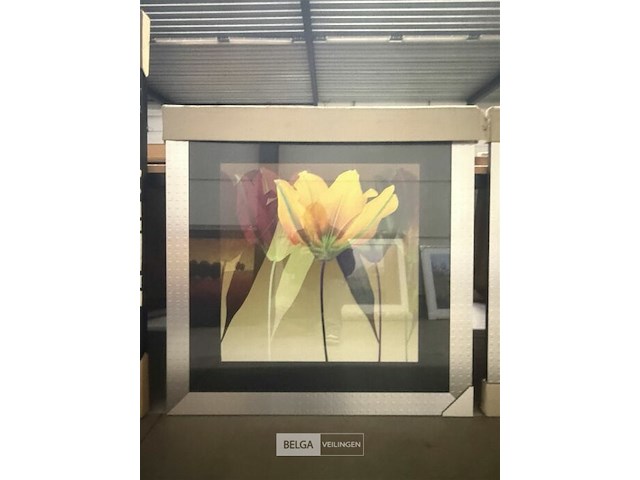 Prentkunst lily dance - afbeelding 1 van  1