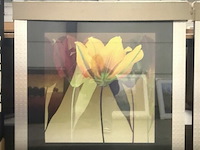 Prentkunst lily dance - afbeelding 1 van  1