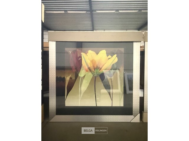 Prentkunst lily dance - afbeelding 1 van  1