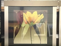 Prentkunst lily dance