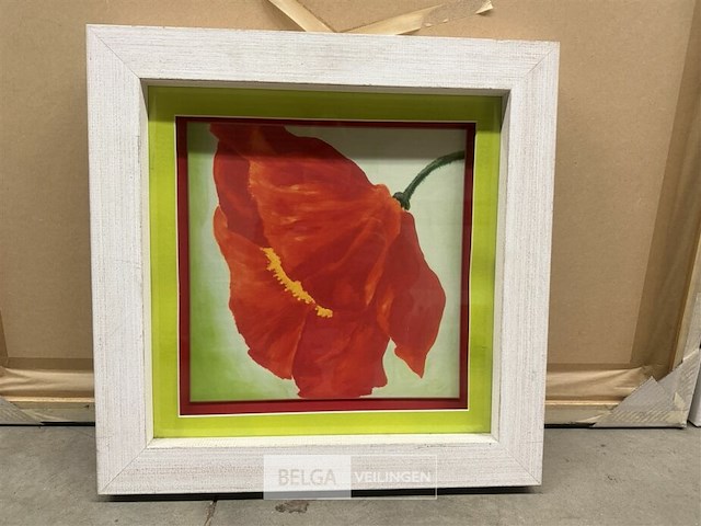 Prentkunst papaver - afbeelding 1 van  1