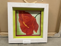 Prentkunst papaver - afbeelding 1 van  1