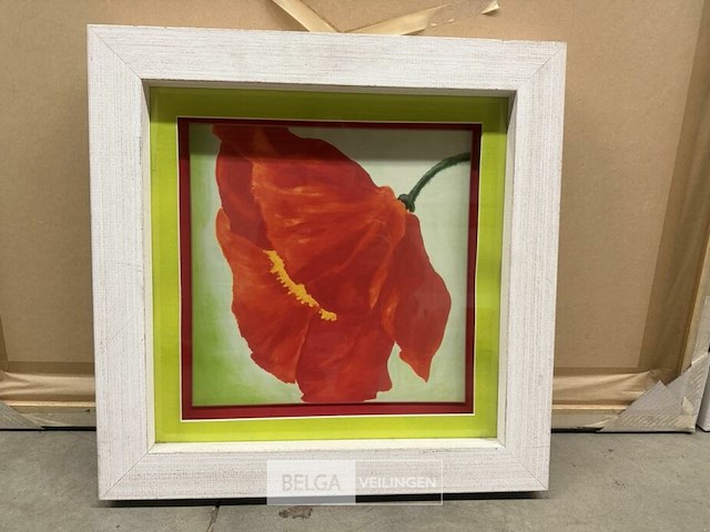 Prentkunst papaver - afbeelding 1 van  1