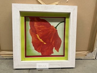 Prentkunst papaver - afbeelding 1 van  1