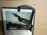 Prentkunst red headed duck - afbeelding 3 van  3