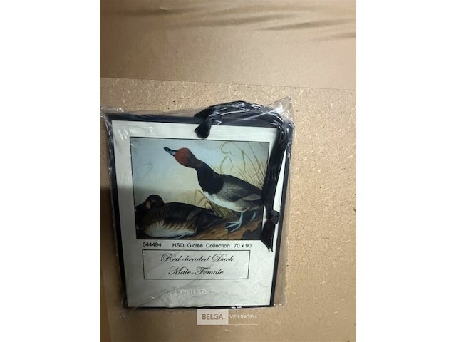 Prentkunst red headed duck - afbeelding 3 van  3