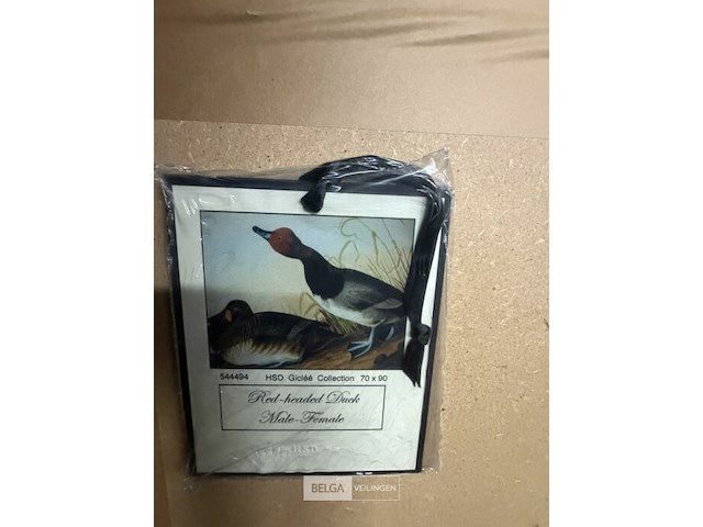 Prentkunst red headed duck - afbeelding 3 van  3