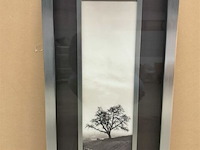 Prentkunst sentinel oak tree - afbeelding 1 van  1