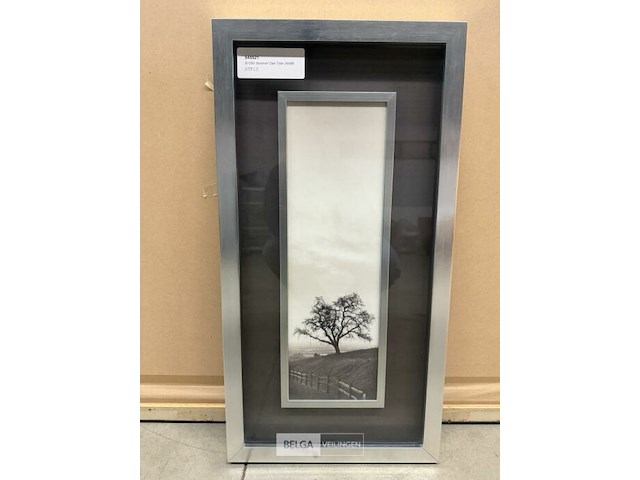 Prentkunst sentinel oak tree - afbeelding 1 van  1