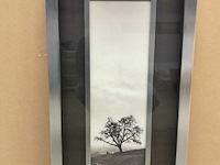 Prentkunst sentinel oak tree - afbeelding 1 van  1