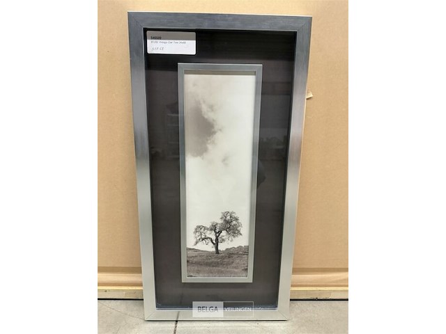 Prentkunst vintage oak tree - afbeelding 1 van  1