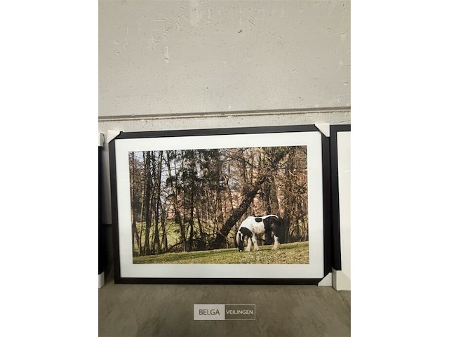 Prentkunst weide met pony - afbeelding 1 van  1