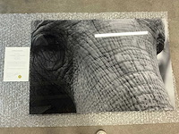 Print “ancient eyes”