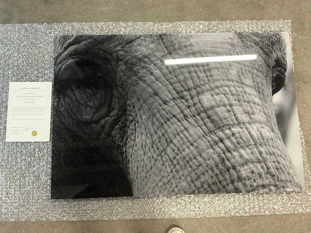 Print “ancient eyes” - afbeelding 1 van  3