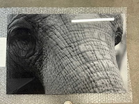 Print “ancient eyes” - afbeelding 2 van  3