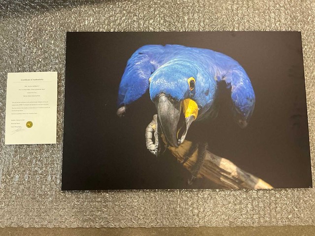 Print “are you watching me” - afbeelding 1 van  3
