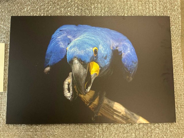 Print “are you watching me” - afbeelding 2 van  3