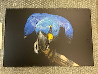 Print “are you watching me” - afbeelding 2 van  3