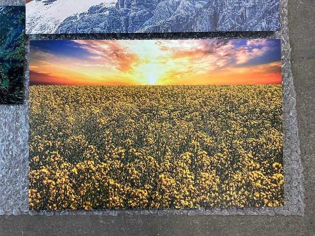 Print “boudewijn dupont” (3x) - afbeelding 3 van  4