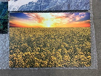 Print “boudewijn dupont” (3x) - afbeelding 3 van  4