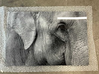 Print “boudewijn dupont” - afbeelding 1 van  3