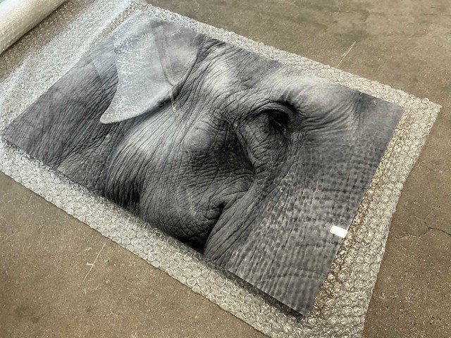 Print “boudewijn dupont” - afbeelding 2 van  3