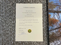 Print “frog view autumn” - afbeelding 3 van  3