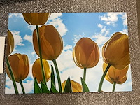 Print “gele tulpen in blauwe licht” - afbeelding 2 van  3
