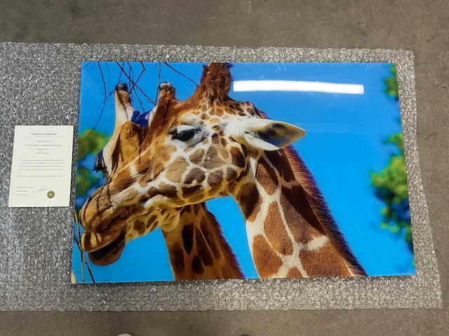 Print “neck to neck” - afbeelding 1 van  3