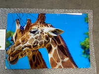 Print “neck to neck” - afbeelding 2 van  3