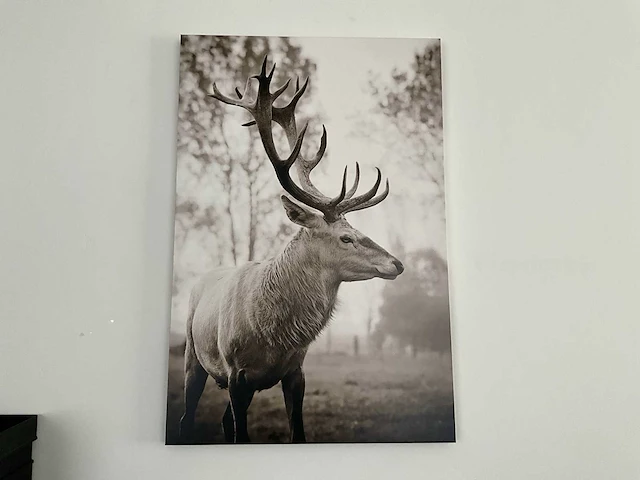 Print op karton (2x) - afbeelding 4 van  5