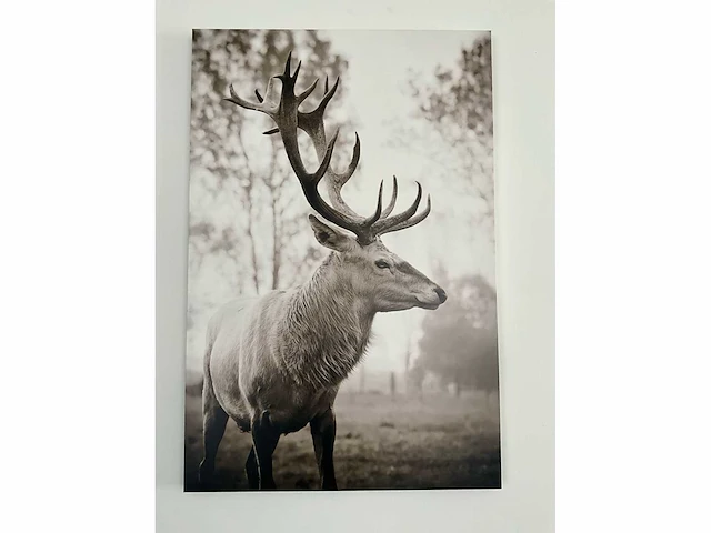 Print op karton (2x) - afbeelding 5 van  5