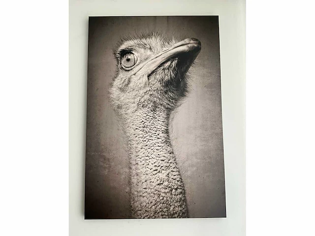 Print op karton (2x) - afbeelding 2 van  5
