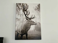 Print op karton (2x) - afbeelding 4 van  5