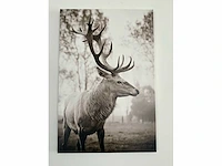 Print op karton (2x) - afbeelding 5 van  5