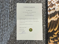 Print “rüppels vulture” - afbeelding 3 van  3