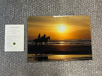 Print “soft cruise”