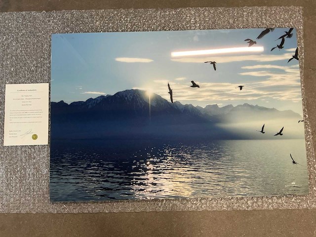 Print “swinging birds” - afbeelding 1 van  3