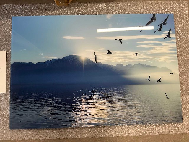 Print “swinging birds” - afbeelding 2 van  3