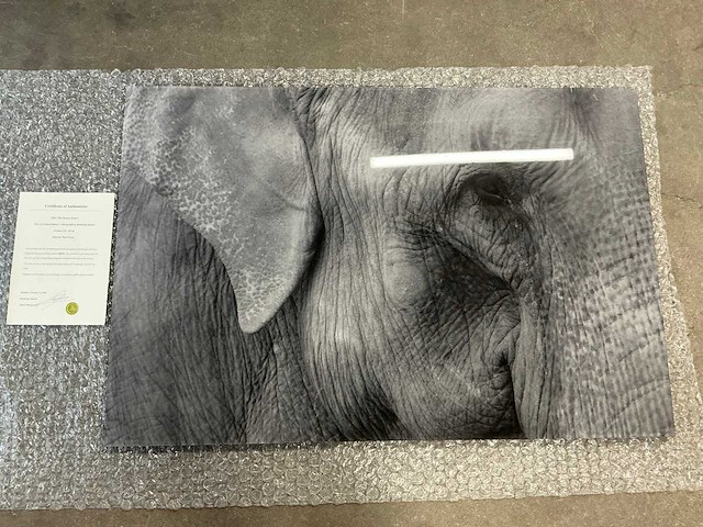 Print “the memory keeper” - afbeelding 1 van  3