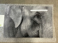 Print “the memory keeper” - afbeelding 2 van  3