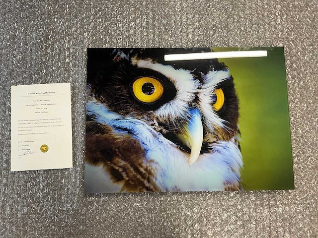 Print “watch me in the eye” - afbeelding 1 van  3