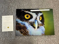 Print “watch me in the eye” - afbeelding 1 van  3