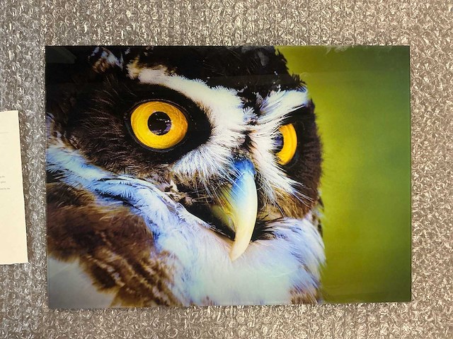 Print “watch me in the eye” - afbeelding 2 van  3