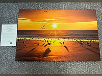 Print “whispers by the sea” - afbeelding 1 van  3