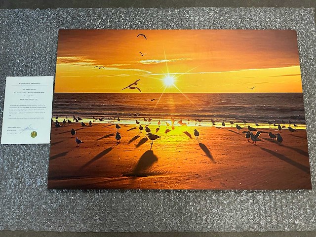 Print “whispers by the sea” - afbeelding 1 van  3