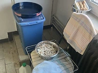 Privé inboedel - afbeelding 228 van  235